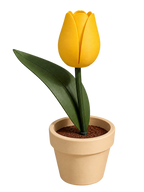Tulipan con maceta