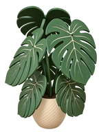 Monstera decorativa porta vasos
